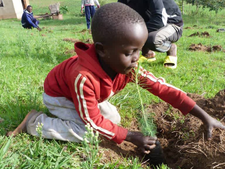Holt Childhood planting trees in Dedza DIocese before Epiphany